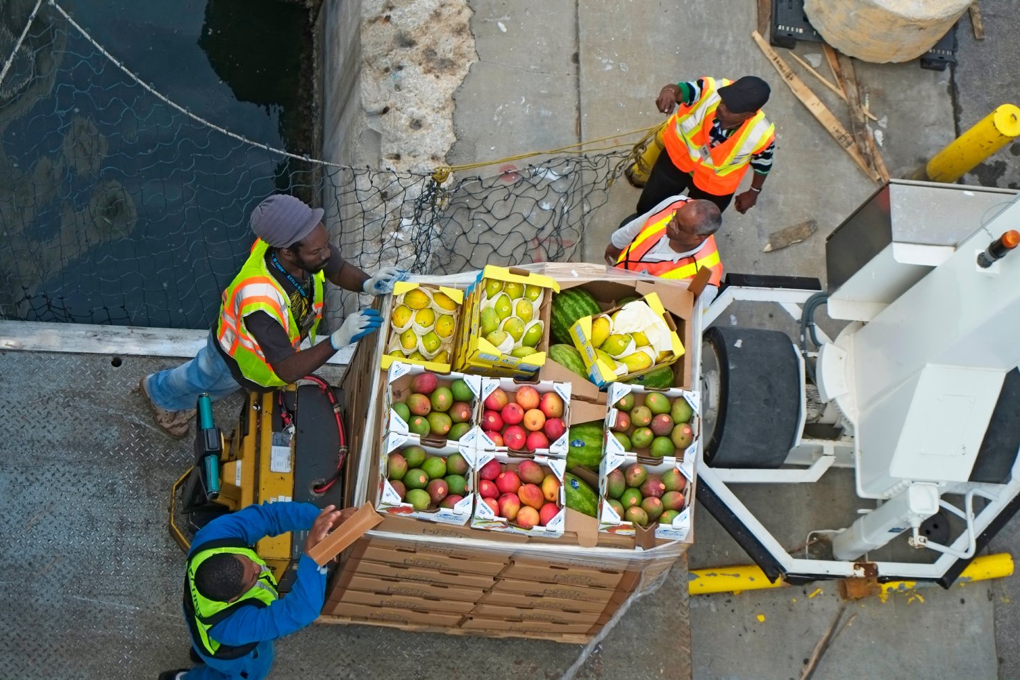 Workers loading fruit on to a cruise ship