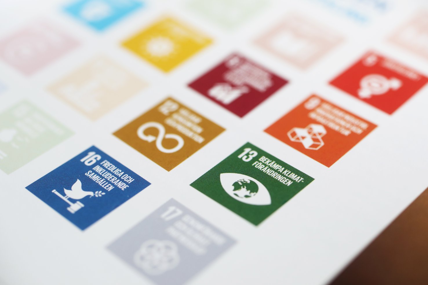 Image of united nations SDGs
